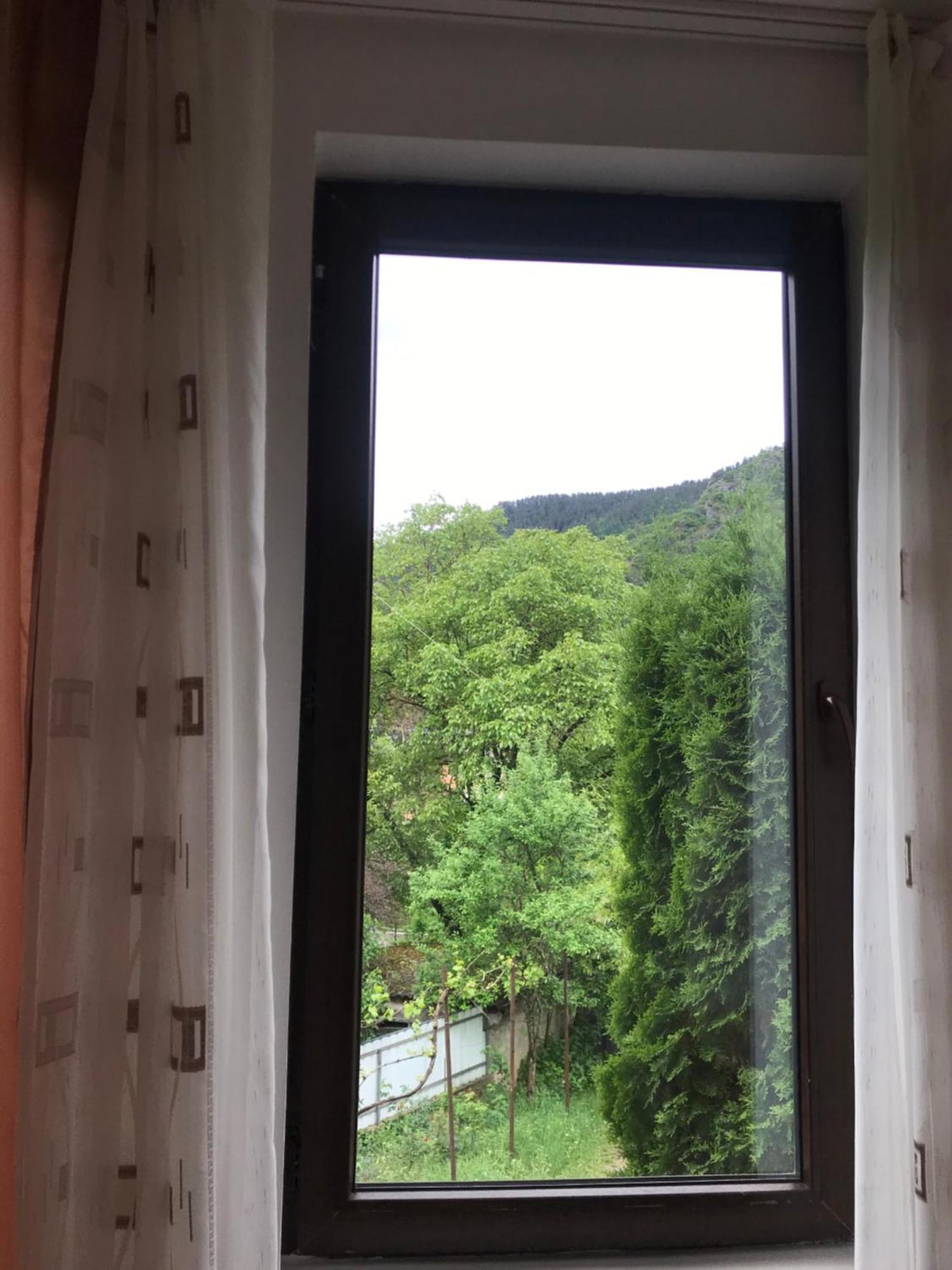 Zviad Guest House Bordžomi Exteriér fotografie